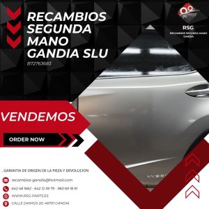 Puerta Trasera Derecha