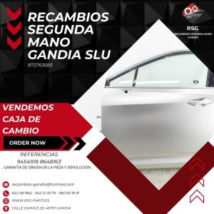 Puerta Delantera Izquierda