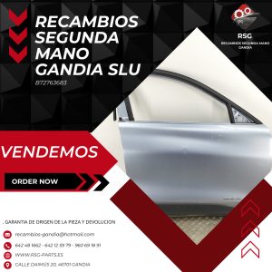 Puerta Delantera Derecha