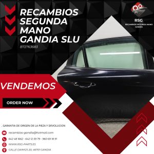 Puerta Trasera Derecha