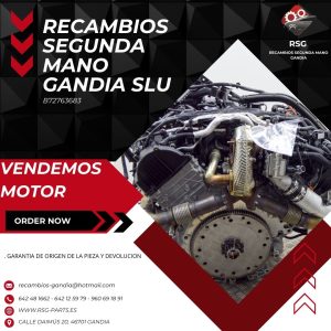 Motor del Coche AUDI A6