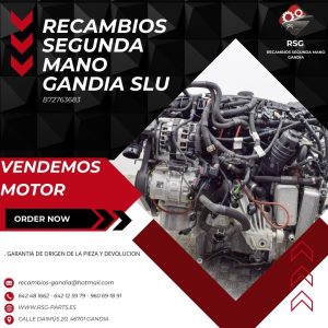 Motor del Coche BMW X3