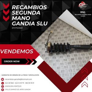 Amortiguador Trasero Izquierdo PORSCHE 911 Targa (997) (2006 - 2012)