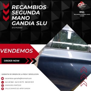 Puerta Trasera Izquierda RENAULT ZOE (BFM_) (2012 - -)