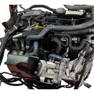 Motor Completo MERCEDES 651955